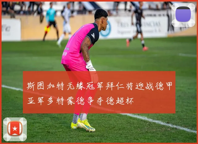 斯图加特无缘冠军拜仁将迎战德甲亚军多特蒙德争夺德超杯